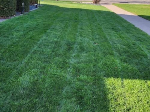 FINEST LAWN CARE LLC photo 4