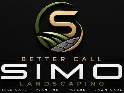Better Call Simo photo 1